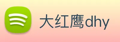 大红鹰dhy Logo